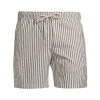 NN07 Gregor Striped Shorts For Men 1 NN07 Gregor Striped Shorts For Men -Modern Wear Hub unnamed file 1064